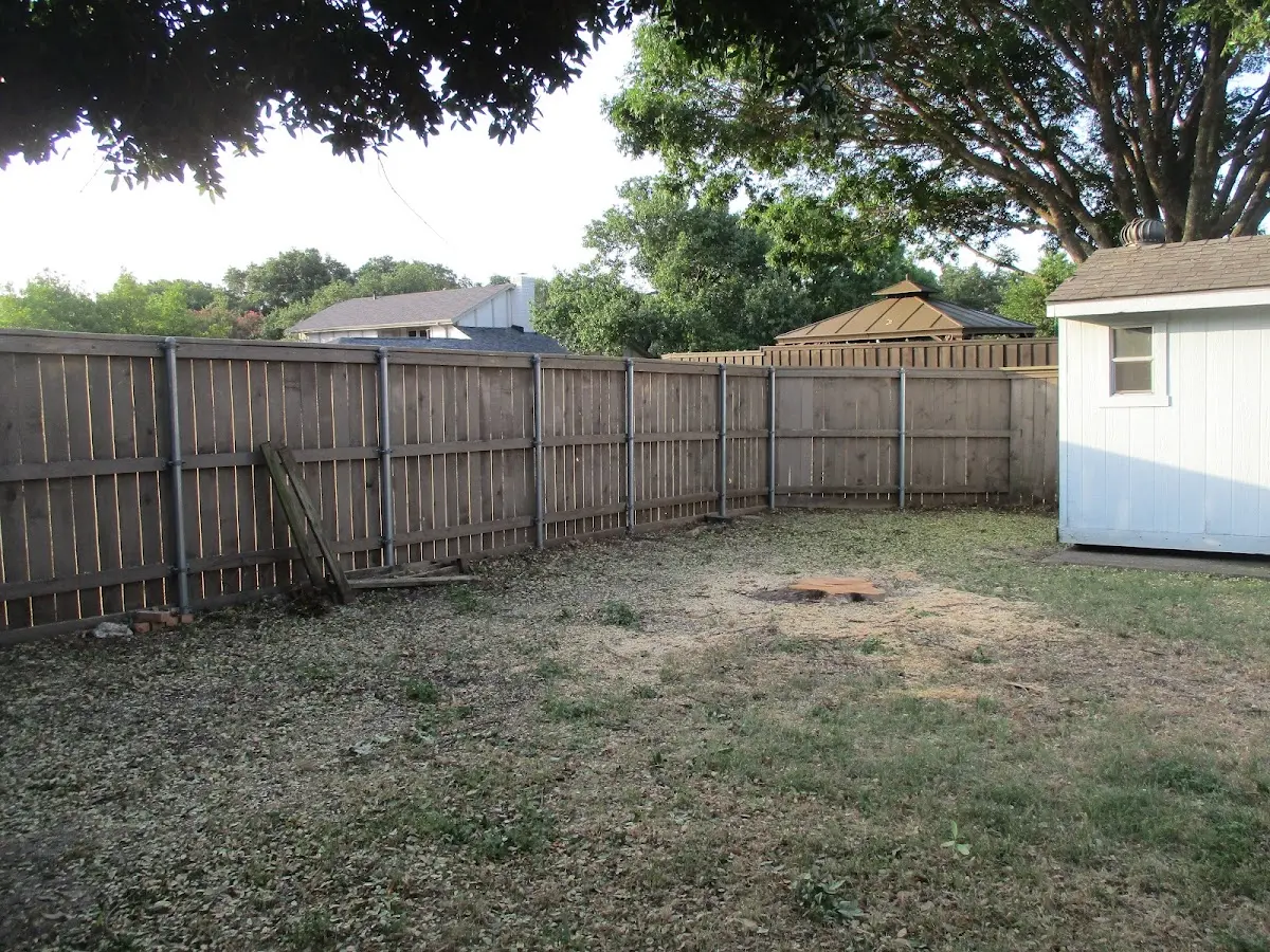 Cleared yard after professional tree removal in Avon By The Sea